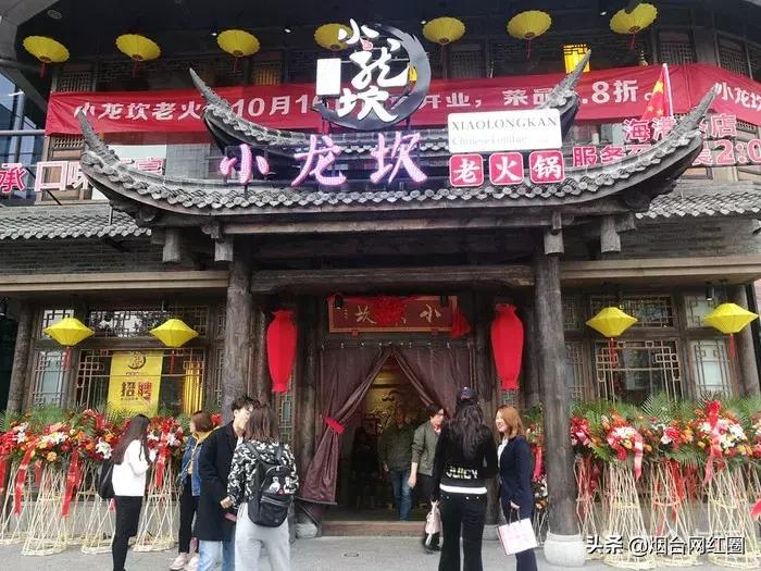 通哥带你吃川菜,通哥美食最新视频