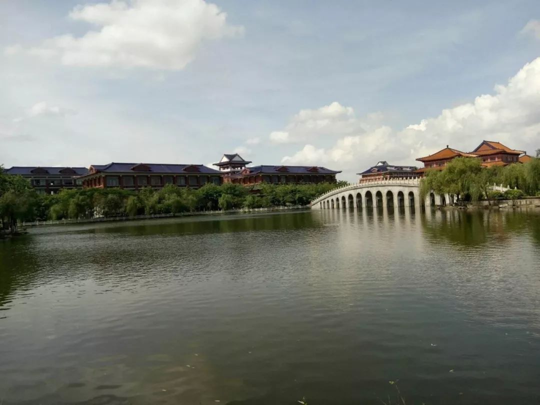 佛山顺德四小虎,四小虎之一顺德