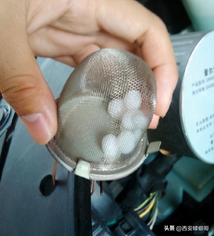 汽车如何防老鼠防猫,汽车发动机舱防猫最好的办法