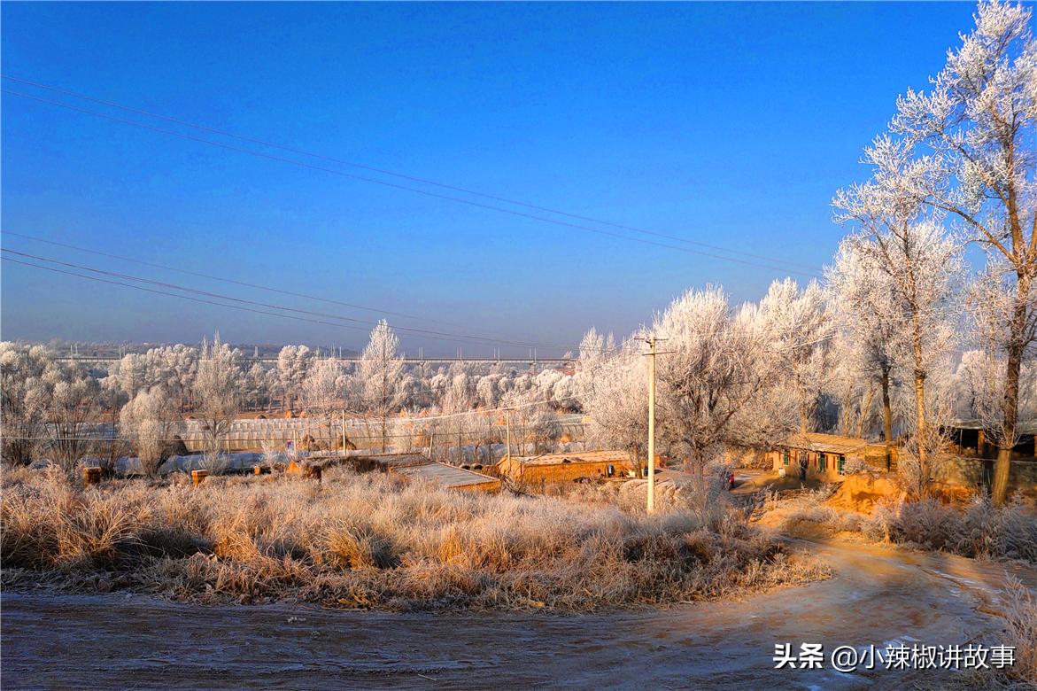 瀹夊Ξ钀芥按鍚庣殑鏁呬簨,瀹夊Ξ鑳屽悗鏁呬簨浠や汉娉洰