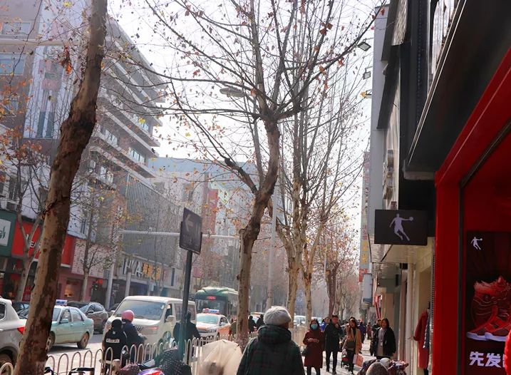 慢悠悠在司门口晃荡，感受武汉老城区的宠辱不惊