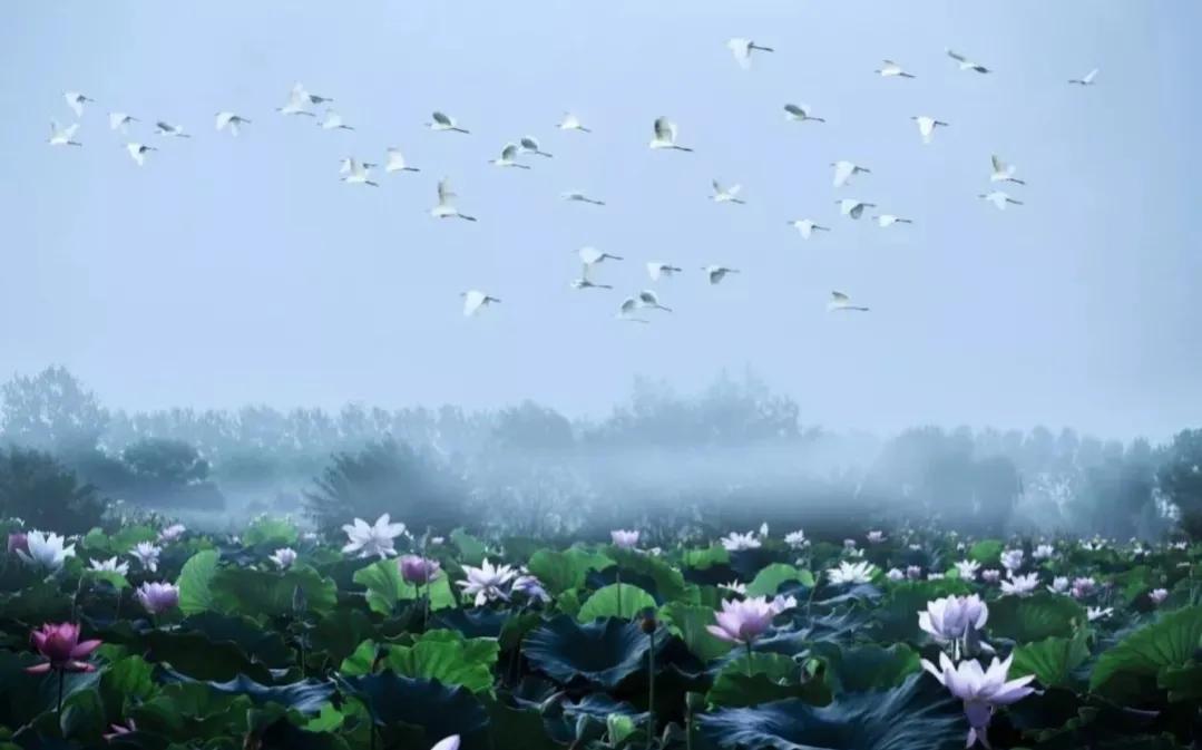 二十一、水乡风情扬州地，千年宝应忆古城