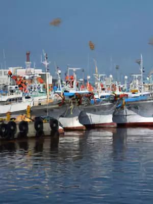 韩国旅游攻略5-6月天气,去韩国首尔旅游攻略最新版