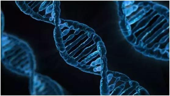 中国人高发的6大癌症不得不防!10个“危险信号”,人人都要知道