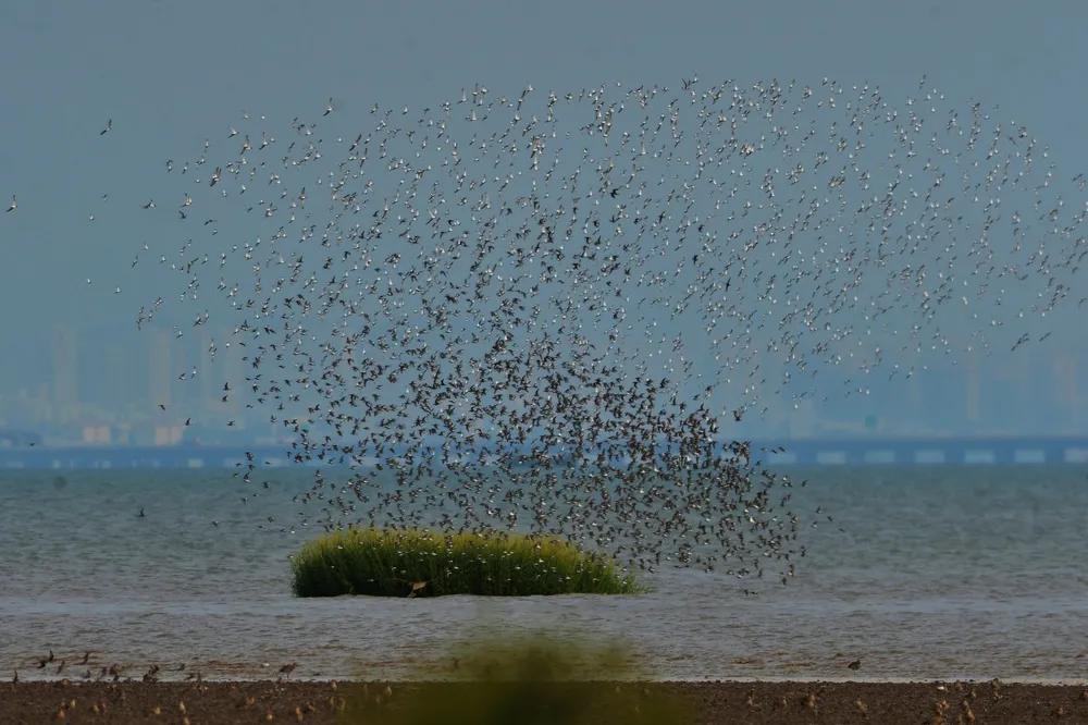 青岛国家海洋公园免费,海洋公园青岛最新