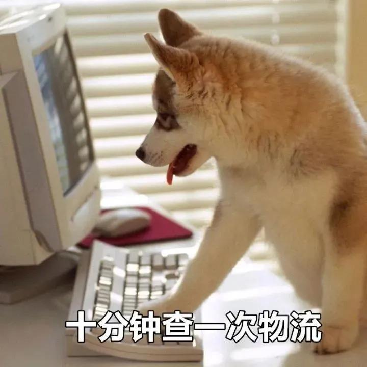 各种让人一看就想买东西的文案,姐妹朋友圈文案可爱沙雕