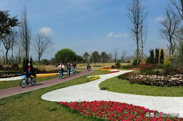 成都双流怎样,你怎么那么绿是什么梗