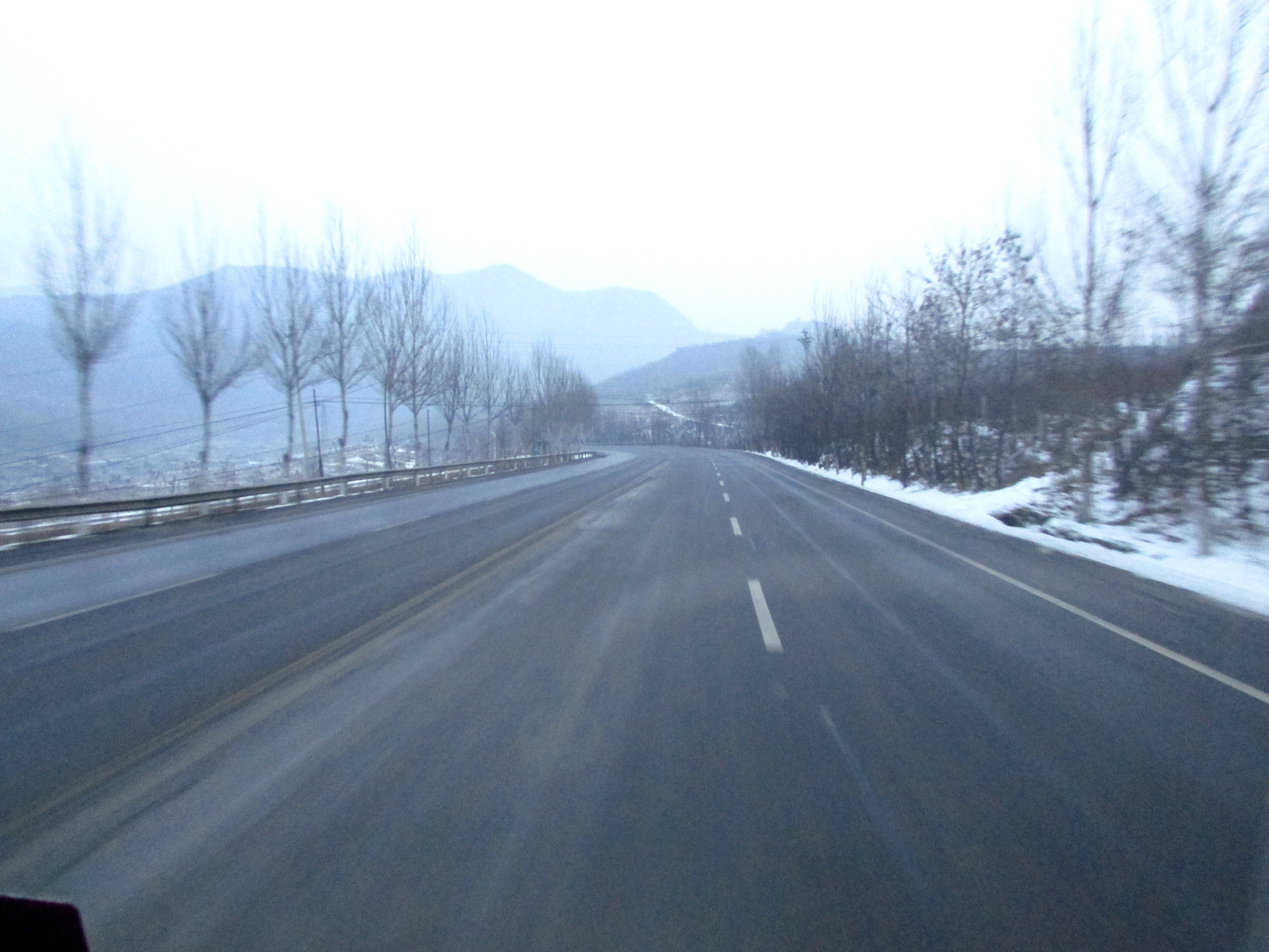 东北杀年猪来吃猪肉,老东北杀年猪