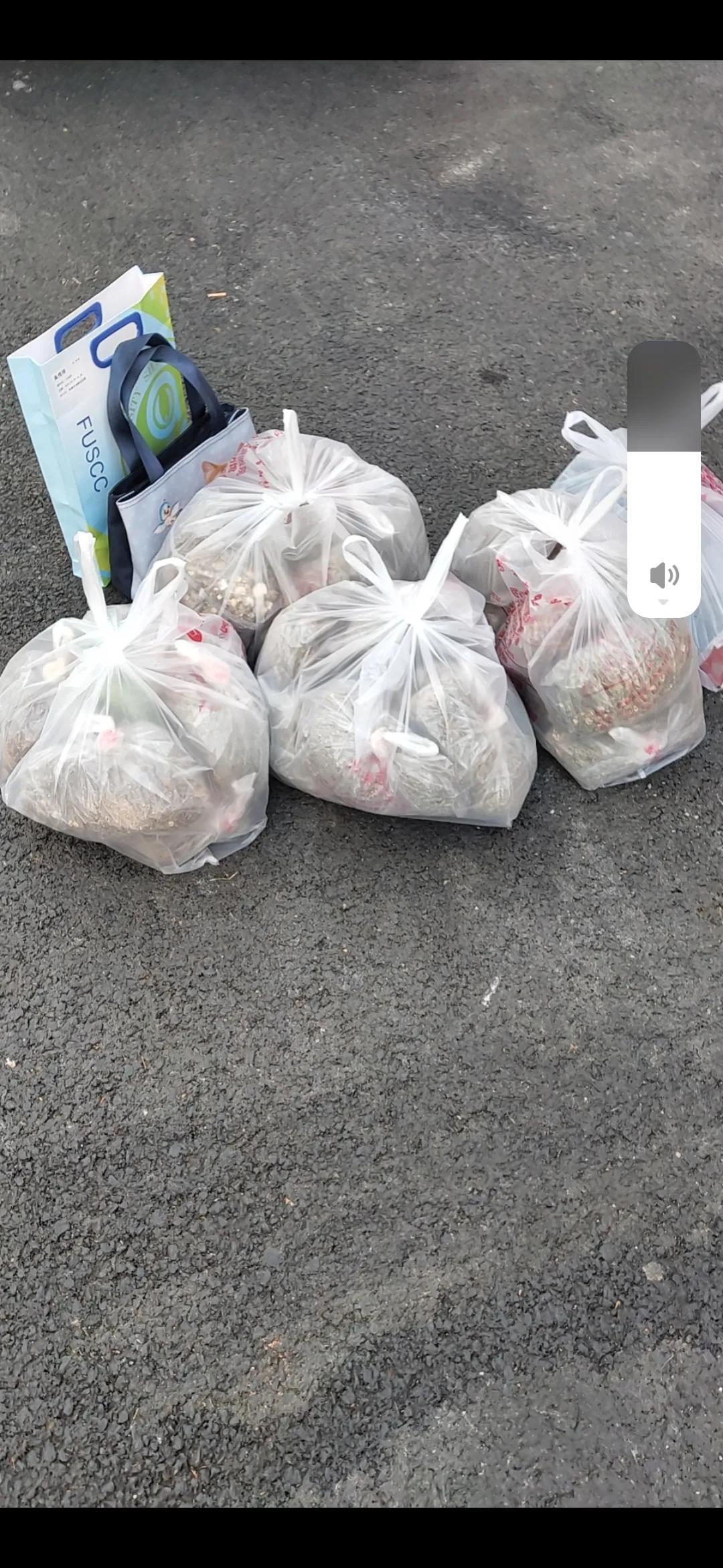 丈夫陪35岁的妻子抗宫颈癌7个月，去多家医院，最终没有救回她