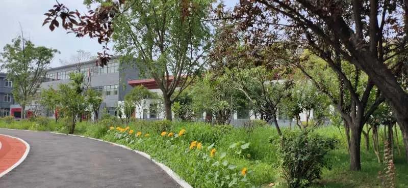 徐州鼓楼区树成学校官网,徐州市鼓楼区树成小学怎么样