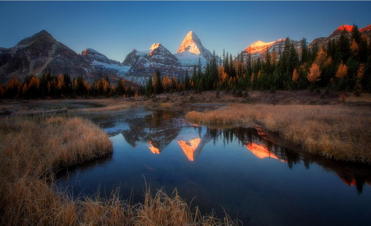 相机的傻瓜模式你了解吗?只要拨动拨盘,大大增加出片率