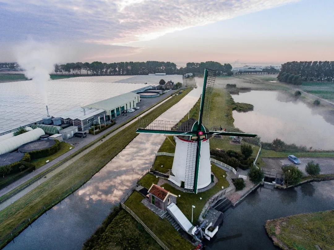 一文读懂商业模式全集,荷兰物流运作方案