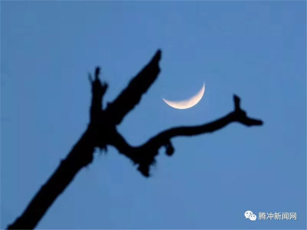 腾冲樱花谷樱花节,腾冲樱花谷最佳观赏季