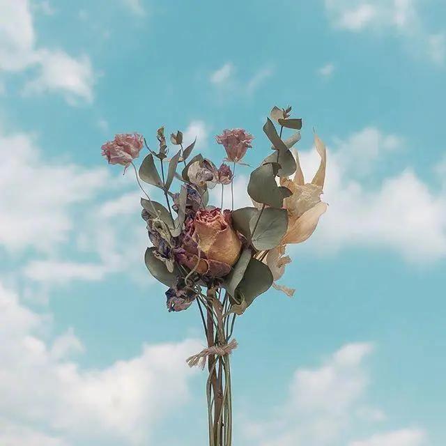 要对生活有希望的句子,一定要对生活充满阳光