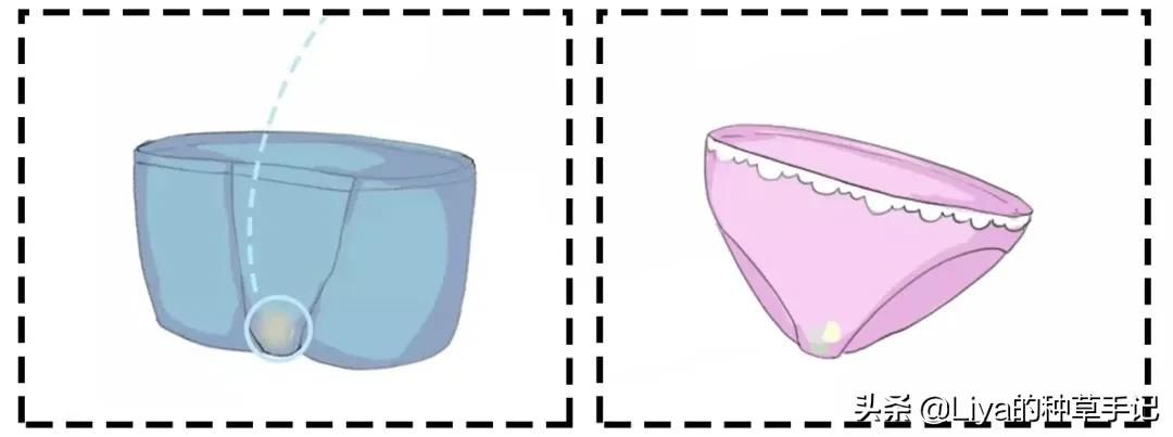 *裤内**湿黄有异味？洗错*裤内**比不洗还恶心！​