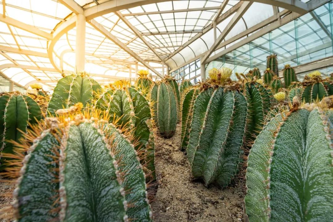 不远的旅游景点推荐,不远不贵不累8个国内亲子游