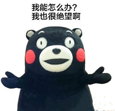 微信右上角加号没有扫码功能,微信怎么不显示二维码上的名字