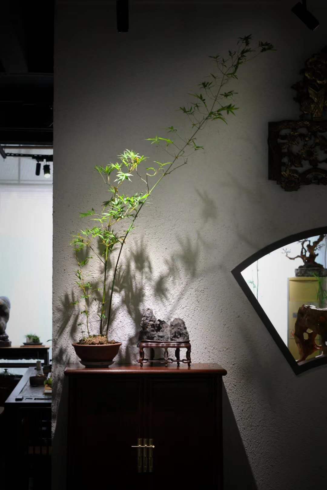 石头为什么买来容易卖出去难呢,为什么石头越来越难卖了