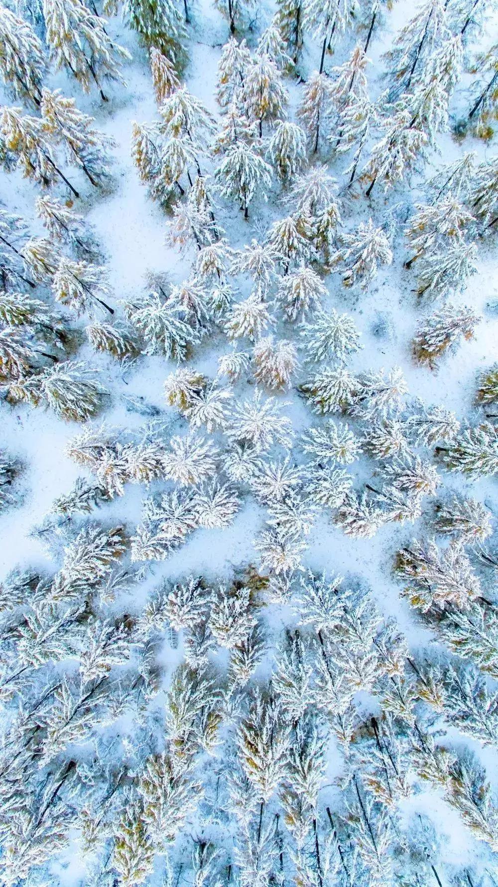 致敬祖国绘画作品高难度,关于祖国的手绘画