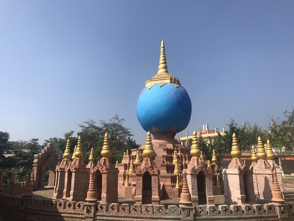 鑺掑競鍜岃吘鍐茬憺涓藉摢涓ソ,鑵惧啿鐟炰附鑺掑競瑗垮弻鐗堢撼