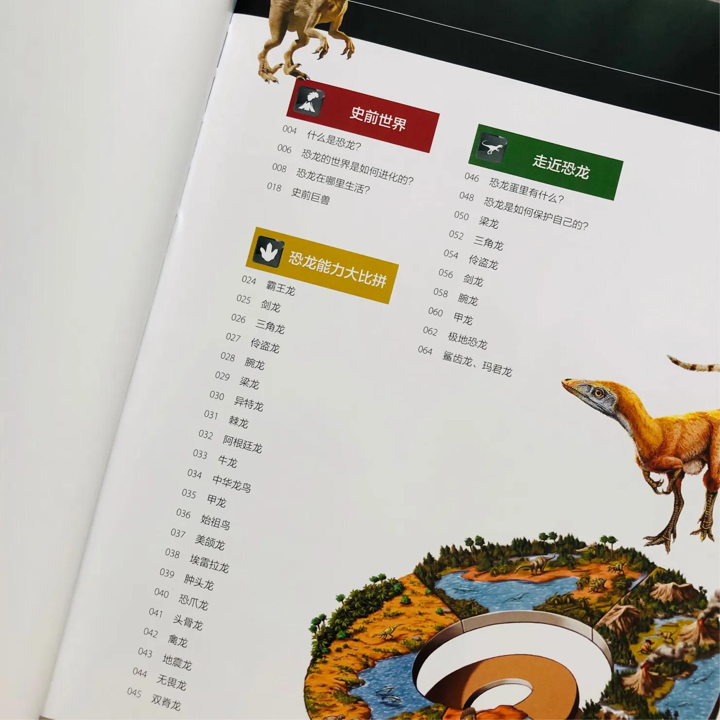 恐龙大比拼动画,恐龙大比拼视频