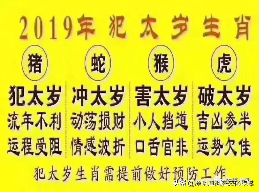 2019年己亥年太岁,猪年本命年怎么化解犯太岁