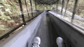 楠溪江的水有多美 (浙江楠溪江风景区怎么样)