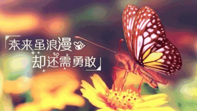 适合发的说说句子简短一点,经典说说大全2019