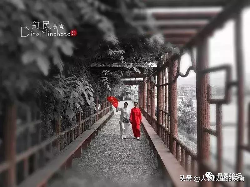 丹凤县七一建党节活动,丹凤建党