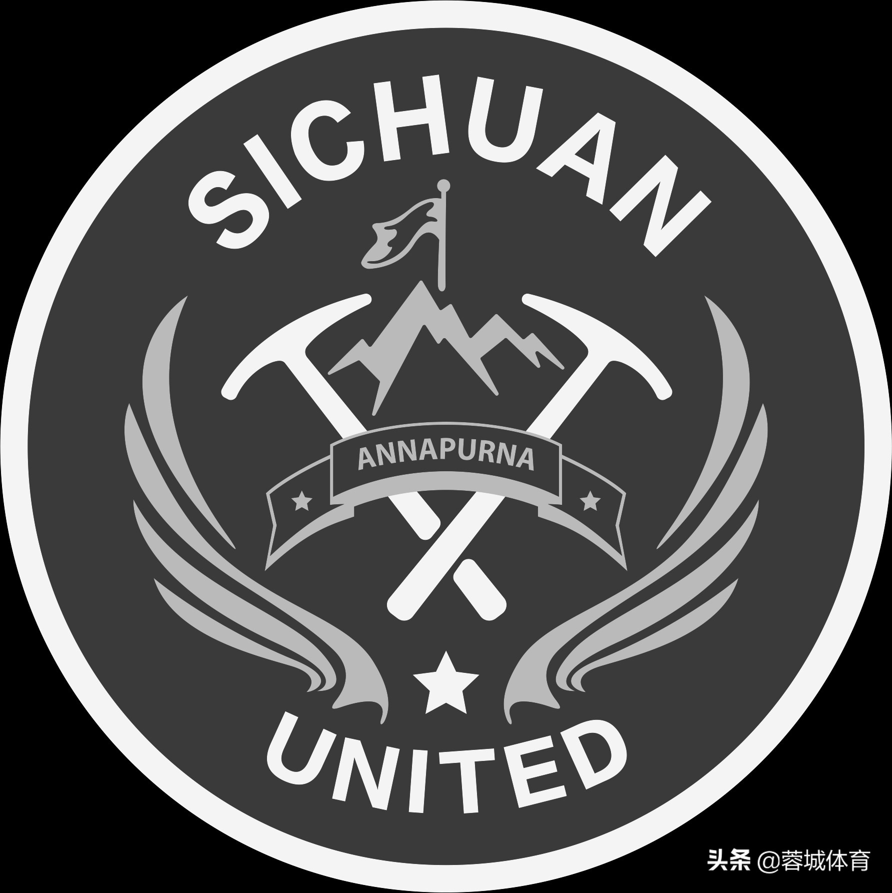 四川足球现状,四川隆发足球队