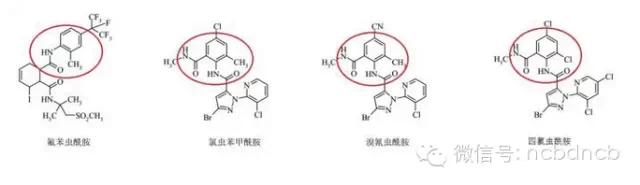康宽、垄歌、倍内威、艾法迪和9080谁更强
