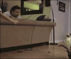 回家的路上看到这么多钱,背包都装不下啊,现在该怎么办