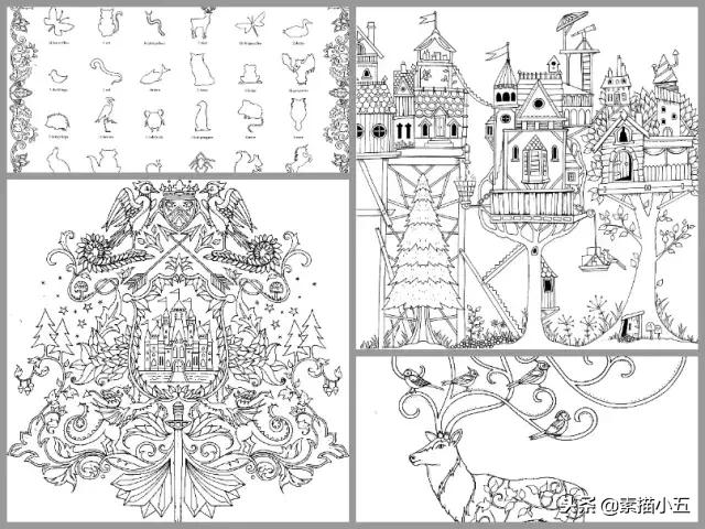 零基础手绘教程推荐,手绘达人