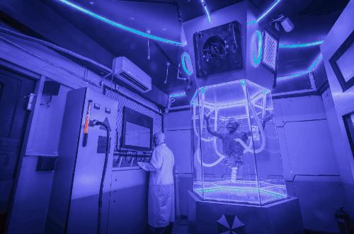 厦门出发旅游美食推荐,厦门旅行与美食攻略