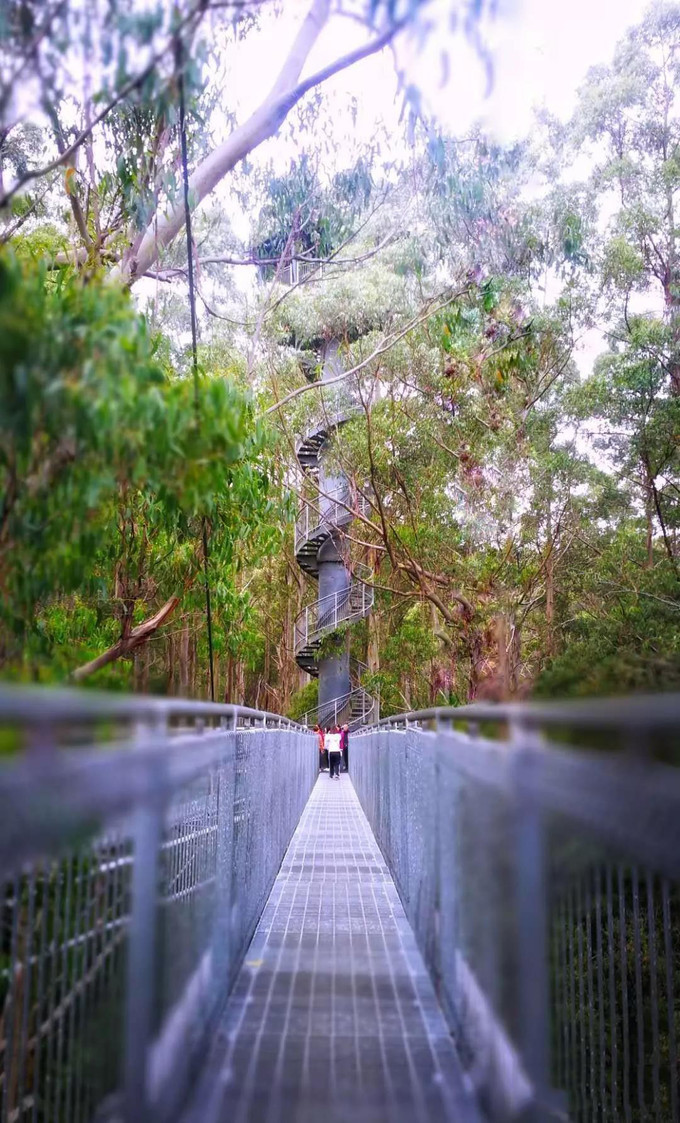 第一次出国去澳洲游学,去澳洲游学