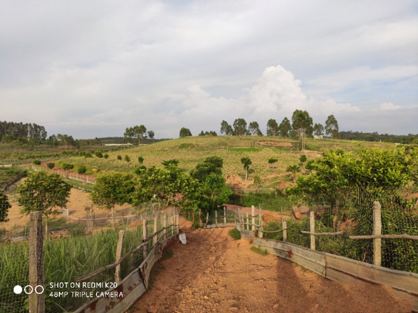 文蕴秀岭,馨怡乐园|廉江文秀岭农牧场散记