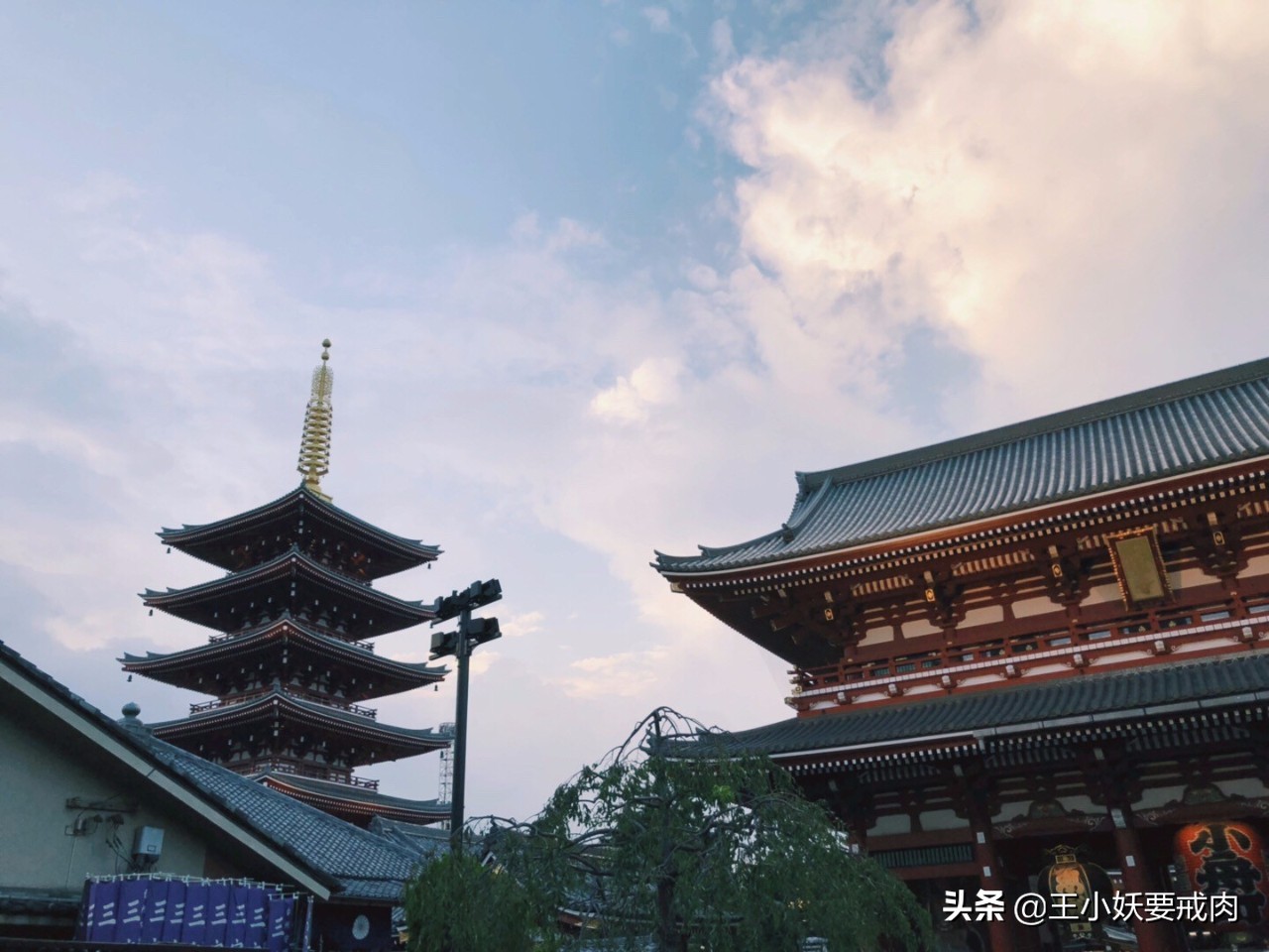 日本攻略自由行大阪,日本自由行攻略东京京都大阪