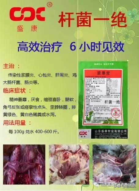 鸭流泪眼睛肿是怎么回事,鸭子眼睛红肿流泪是什么病