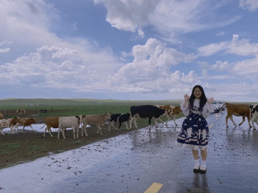 自驾三天呼伦贝尔大草原,自驾去呼伦贝尔草原七日游的攻略