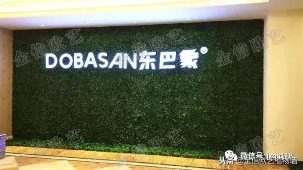 沈阳市仿真植物墙,仿真植物墙制作视频教程