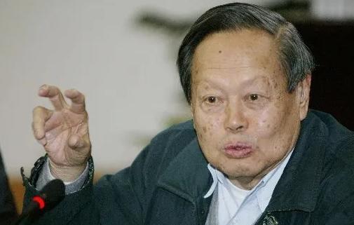 杨振宁真的让翁帆改嫁吗,嫁给杨振宁前翁帆经历了什么