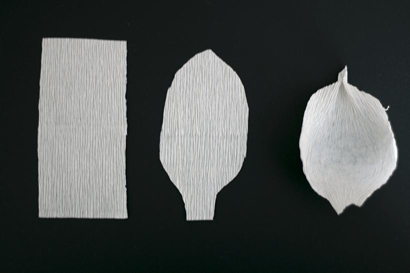 皱纹纸diy手工花朵,手工制作皱纹纸立体花