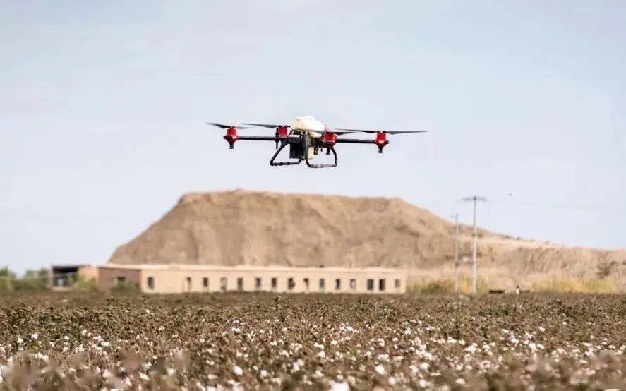 我为什么希望HM们不要怂？