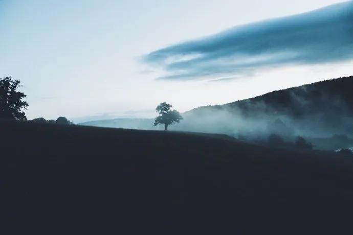 身边的隐形刺客,身边隐形杀手