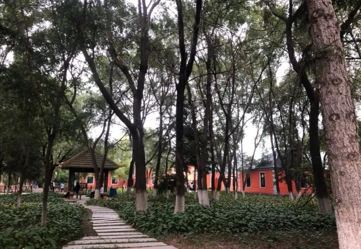 吉林农业科技学院在吉林省哪个市,2022吉林高校学科规模