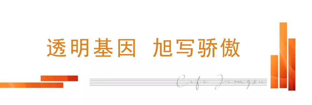 旭辉优秀,旭辉品质排名