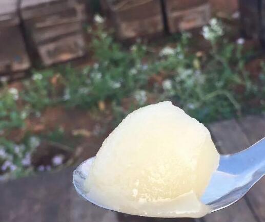 蜂蜜怎么才能结晶成猪油一样细腻,蜂蜜怎么结晶一粒粒的