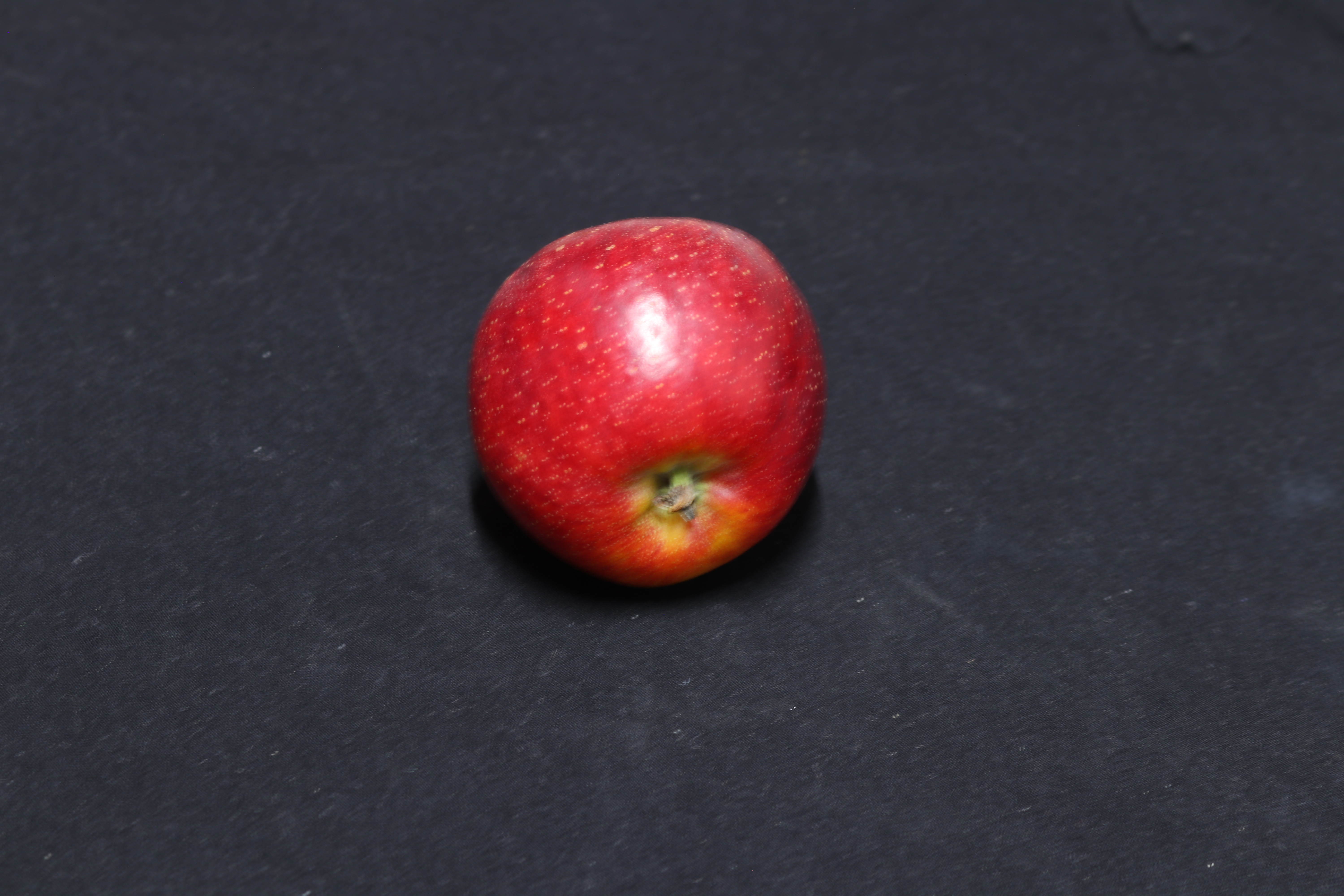 试吃“扬言淘汰嘎啦，且不用套袋”的鲁丽苹果，给大家一些建议