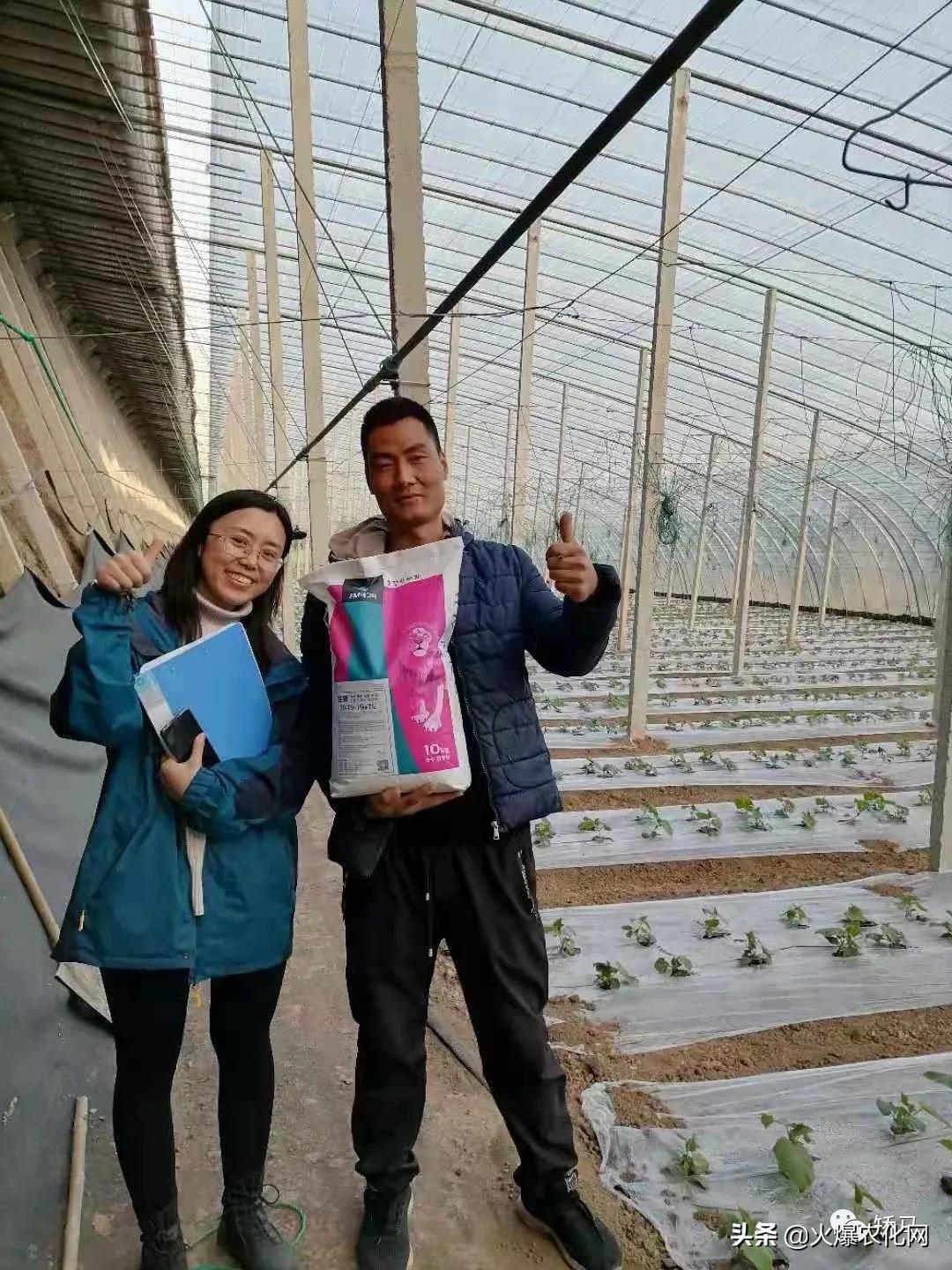 保花保果补硼,果树花前补硼有什么好