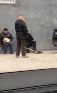 野小伙爱上富家千金,野小子搞笑视频